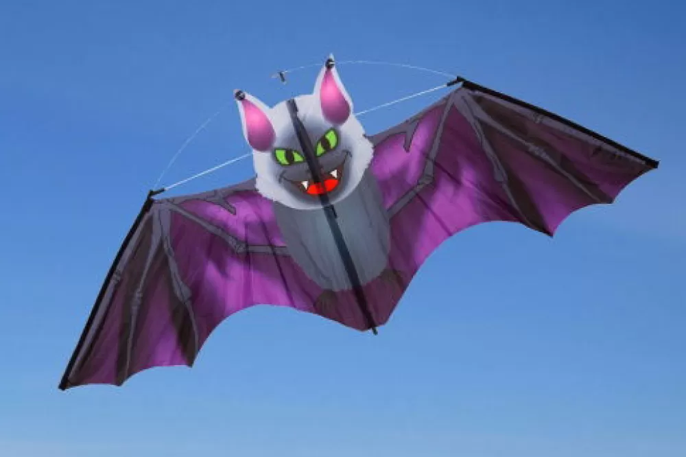 Drachen Fledermaus - 117 X 47 Cm-HQ Kites Cheap