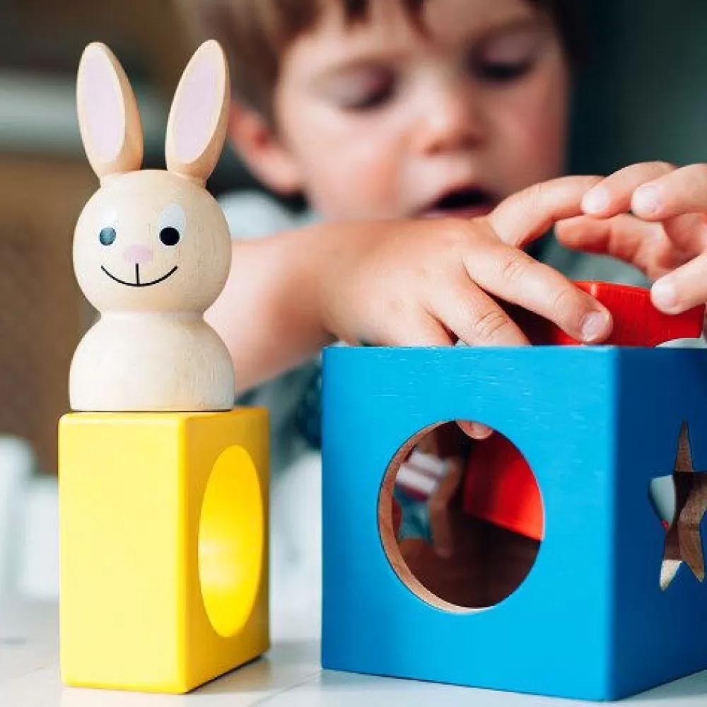 Logikspiel Für Die Kleinsten - Bunny Boo-Smart Games Discount